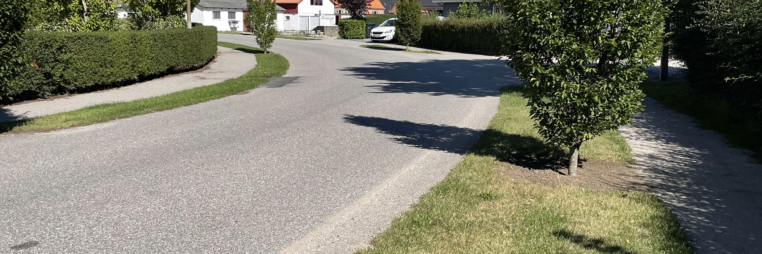 Villavej med velklippede træer og nyslået græs