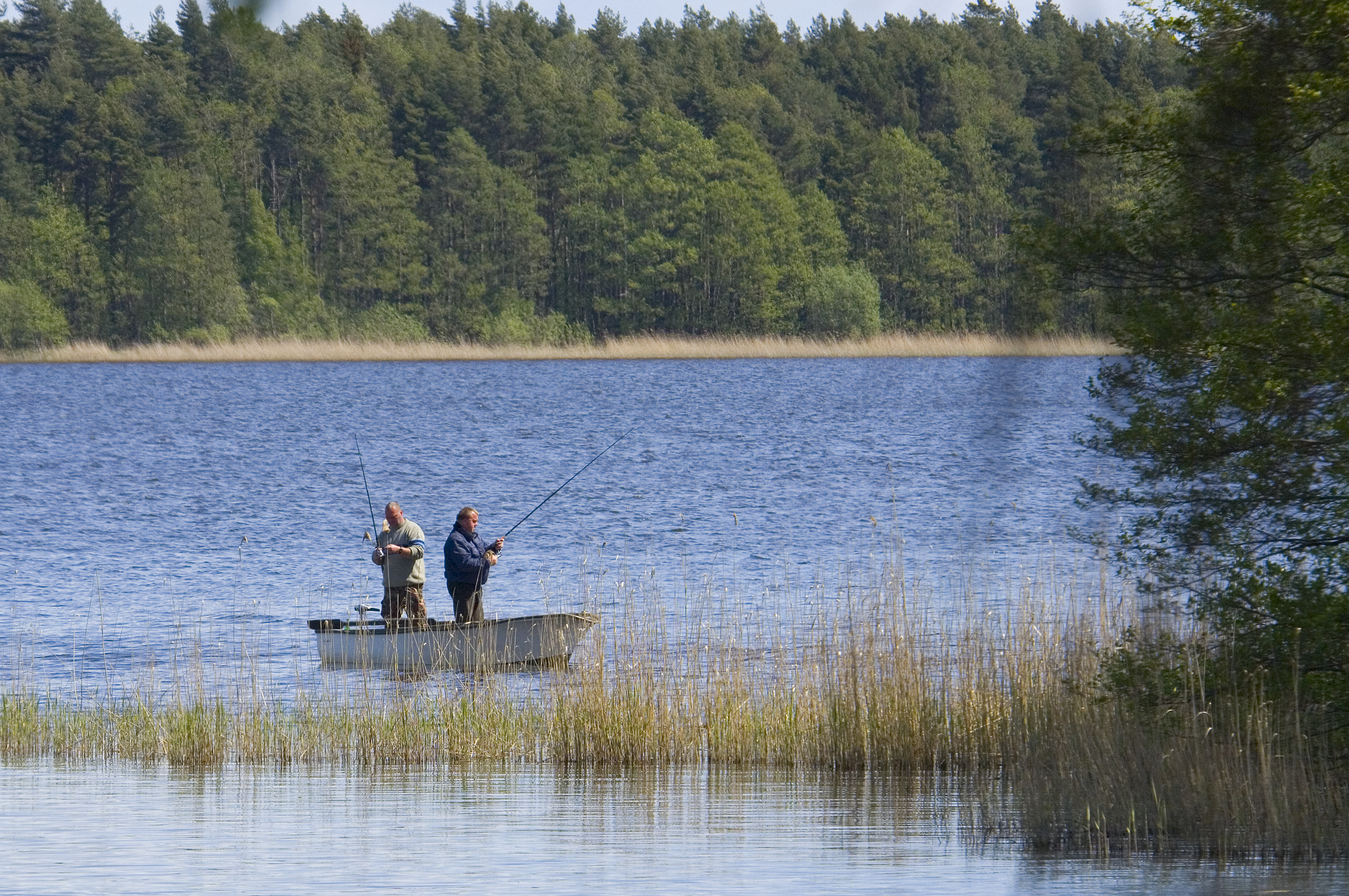 To stående mænd med fiskestænger  i en jolle på Isefjorden med skov i baggrunden.