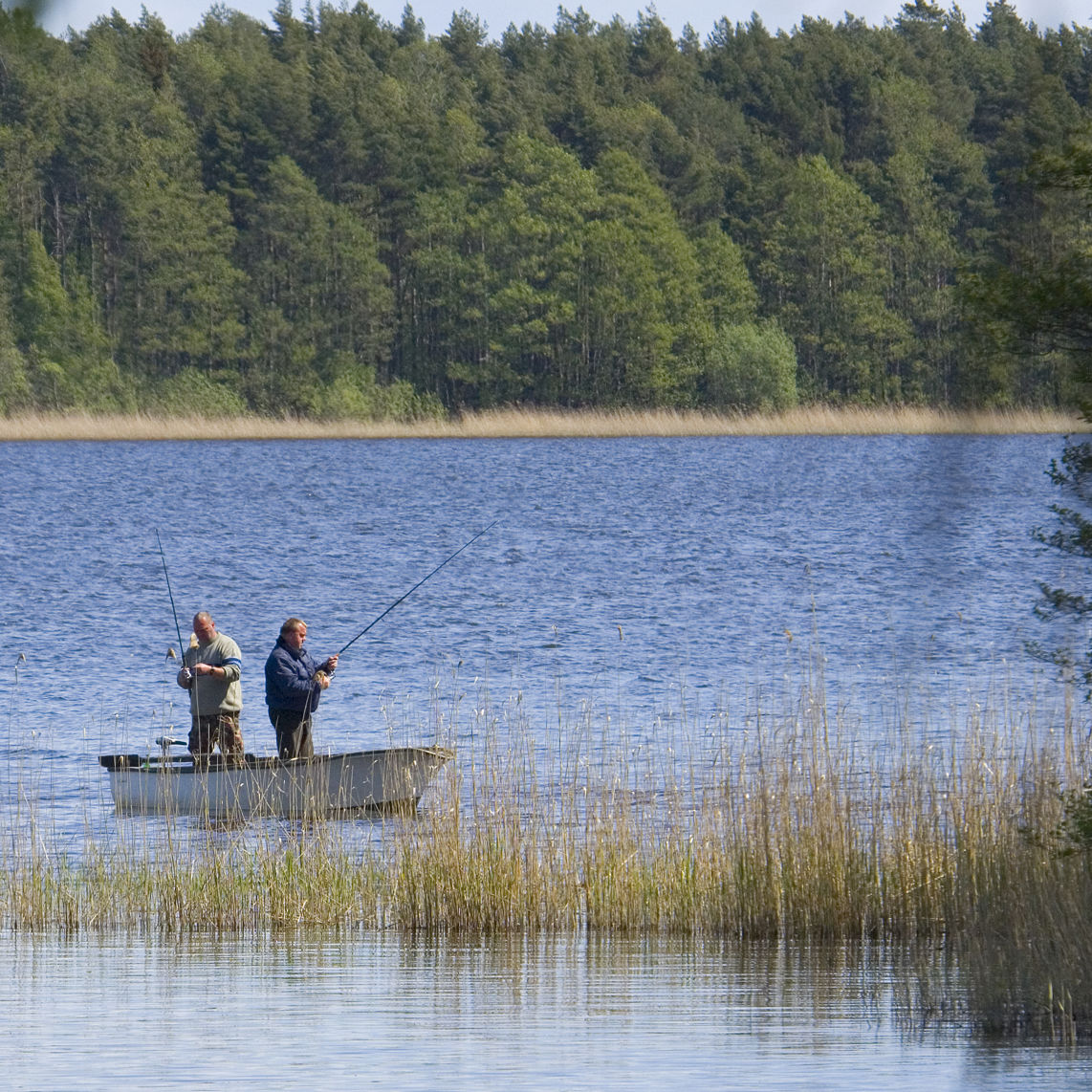 To stående mænd med fiskestænger i en jolle på Isefjorden med skov i baggrunden.