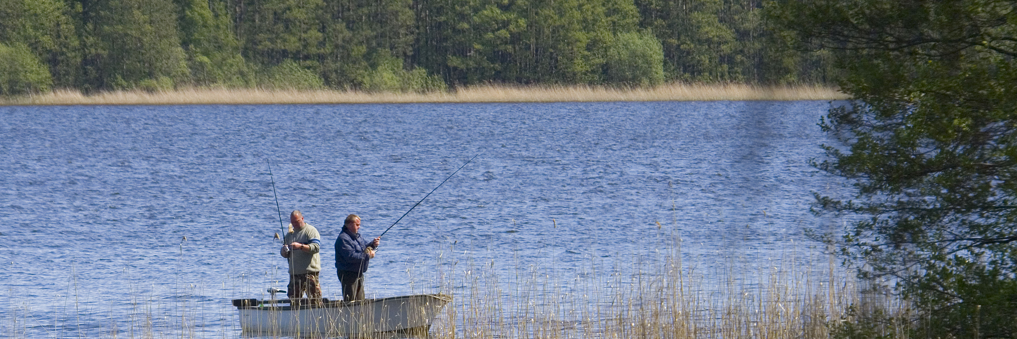 To stående mænd med fiskestænger i en jolle på Isefjorden med skov i baggrunden.