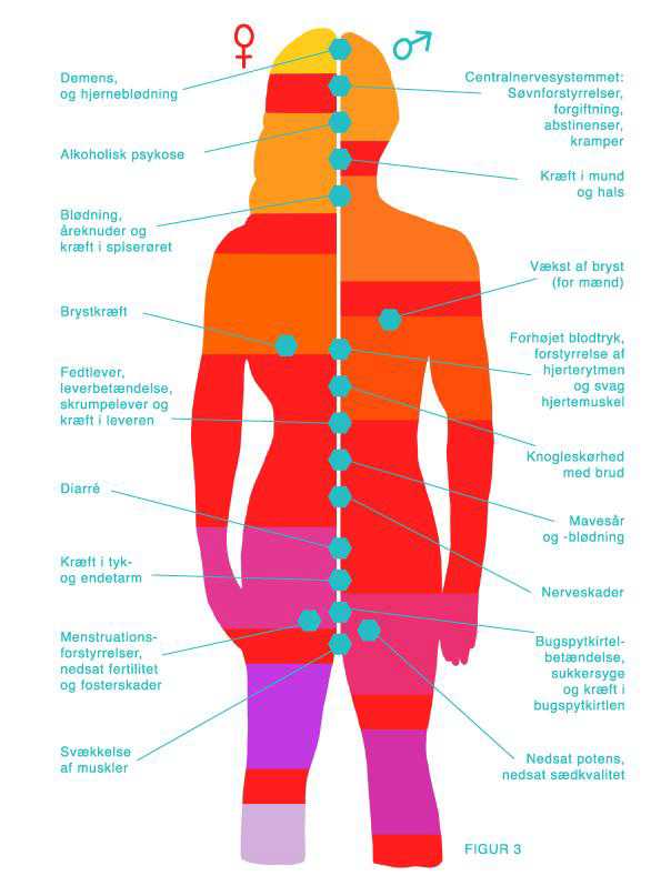 oversigtskort alkohols skadelige virkninger på kroppen