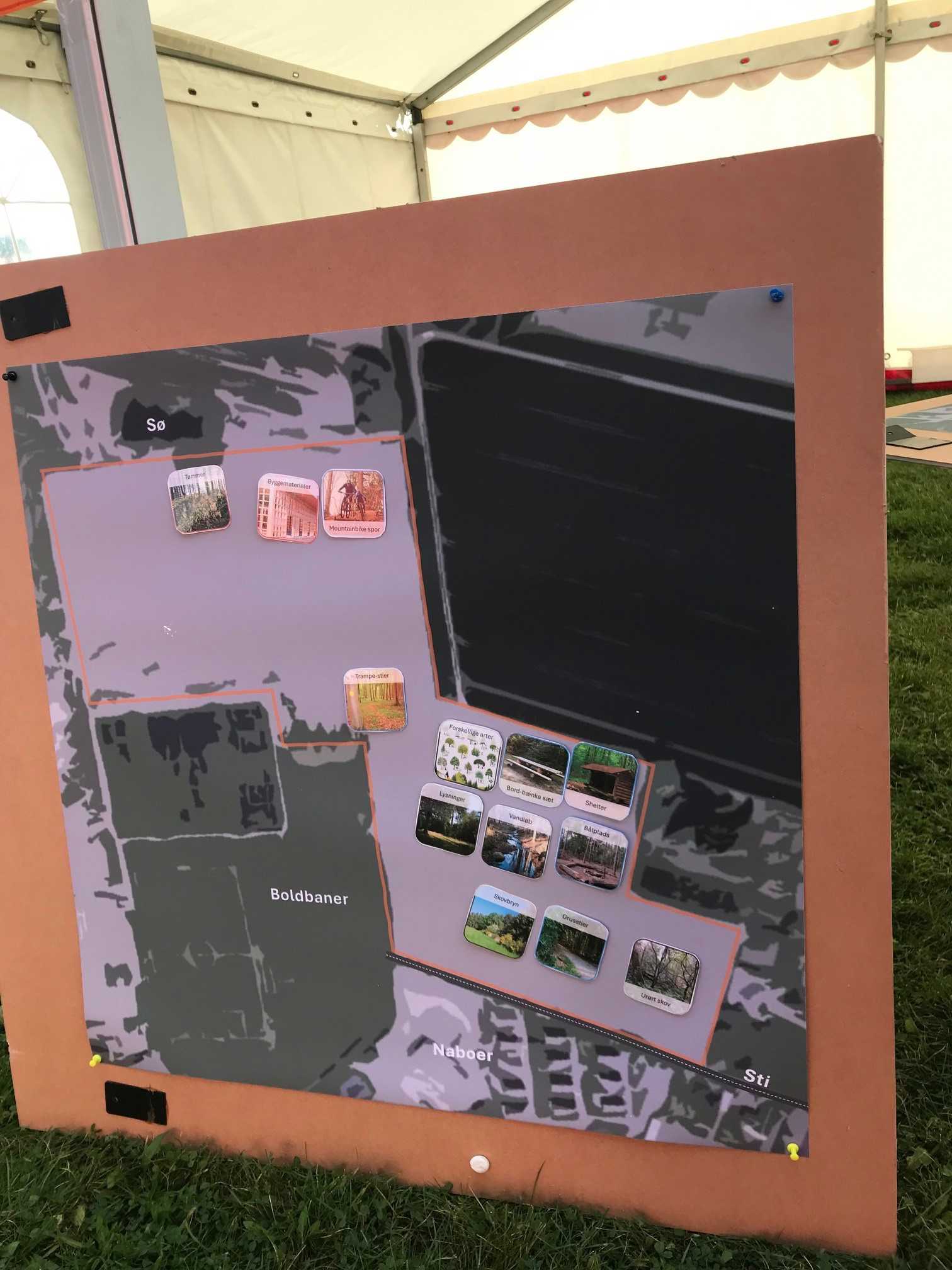 Skovrejsning ungefolkemøde