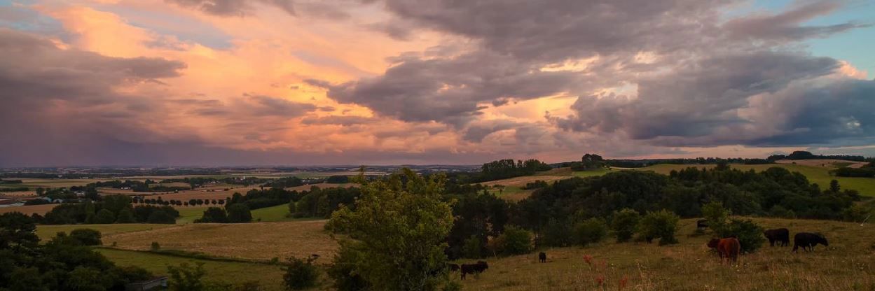 Solnedgang set fra Disbjerg