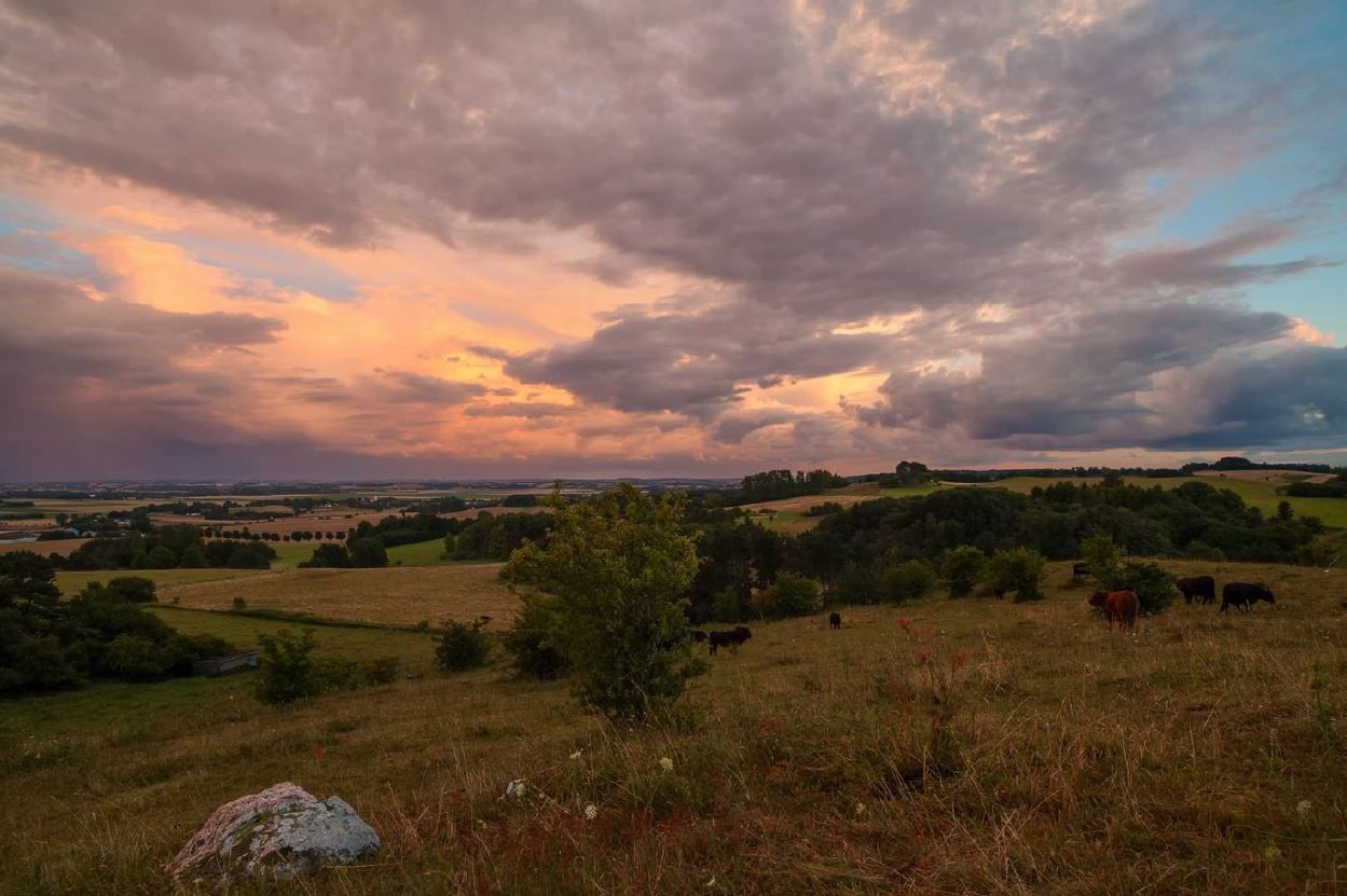 Solnedgang set fra Disbjerg
