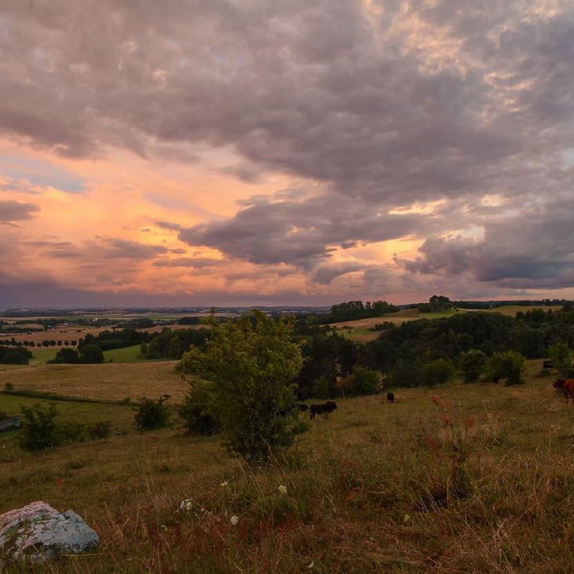 Solnedgang set fra Disbjerg