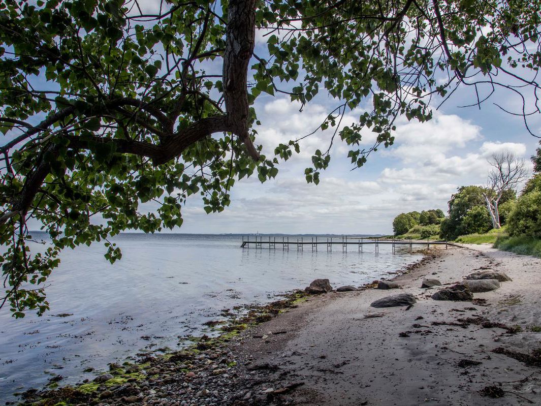 Naturskøn strand med badebro