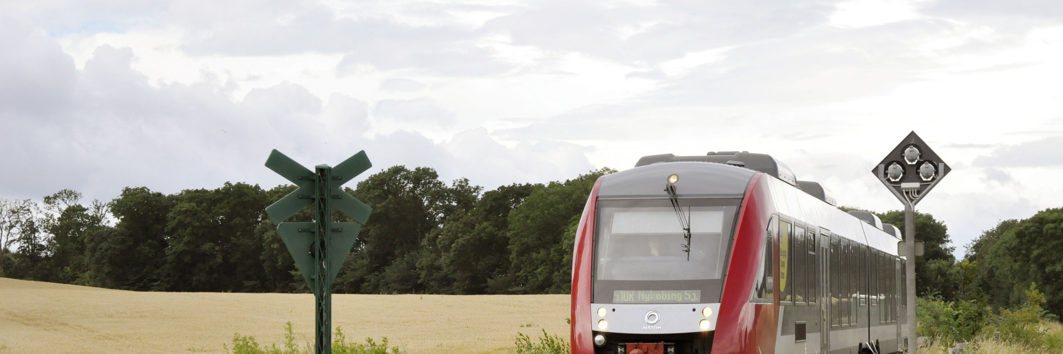 Tog kører ved jernbaneoverskæring nær mark og blomsterhav