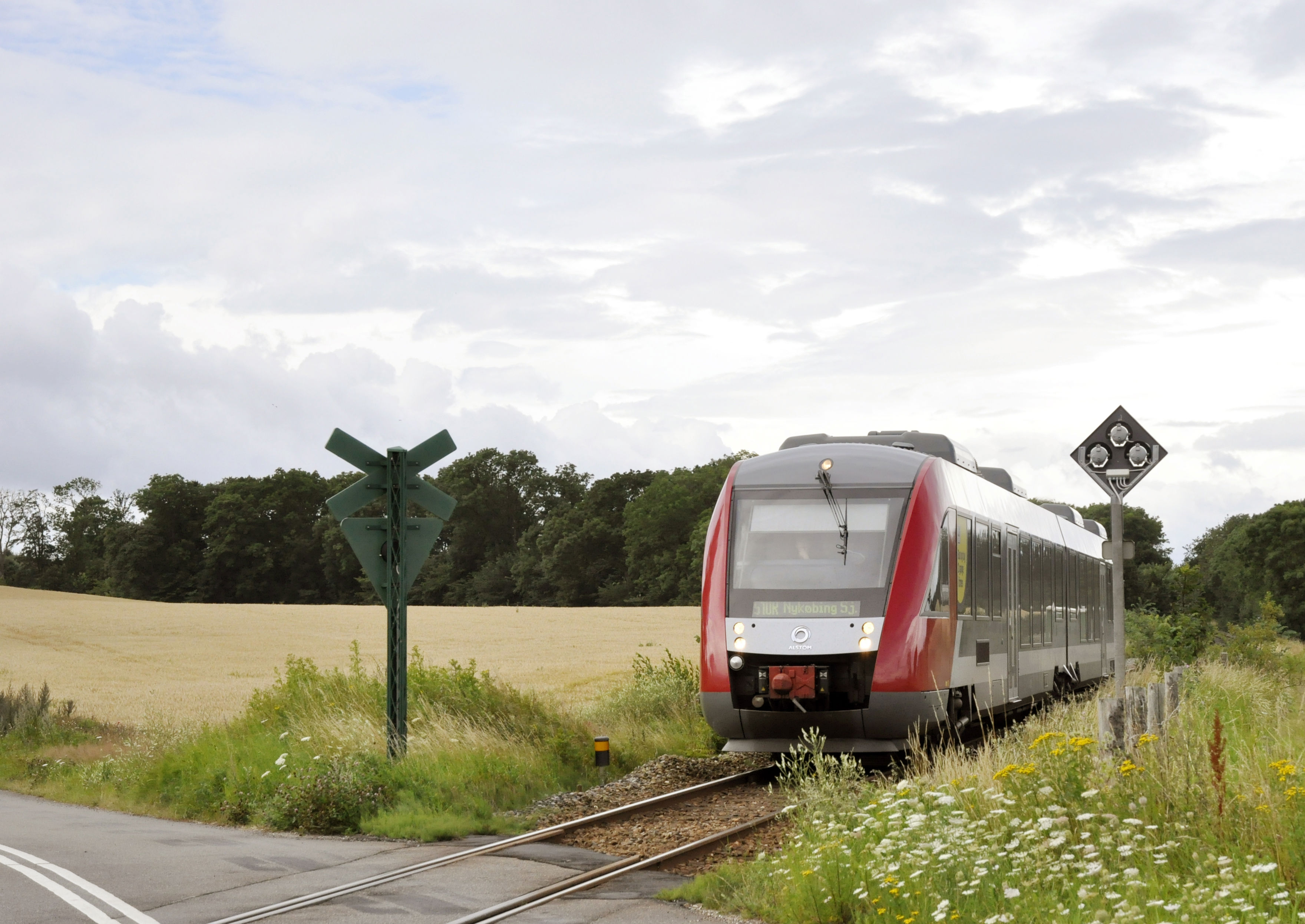 Tog kører ved jernbaneoverskæring nær mark og blomsterhav