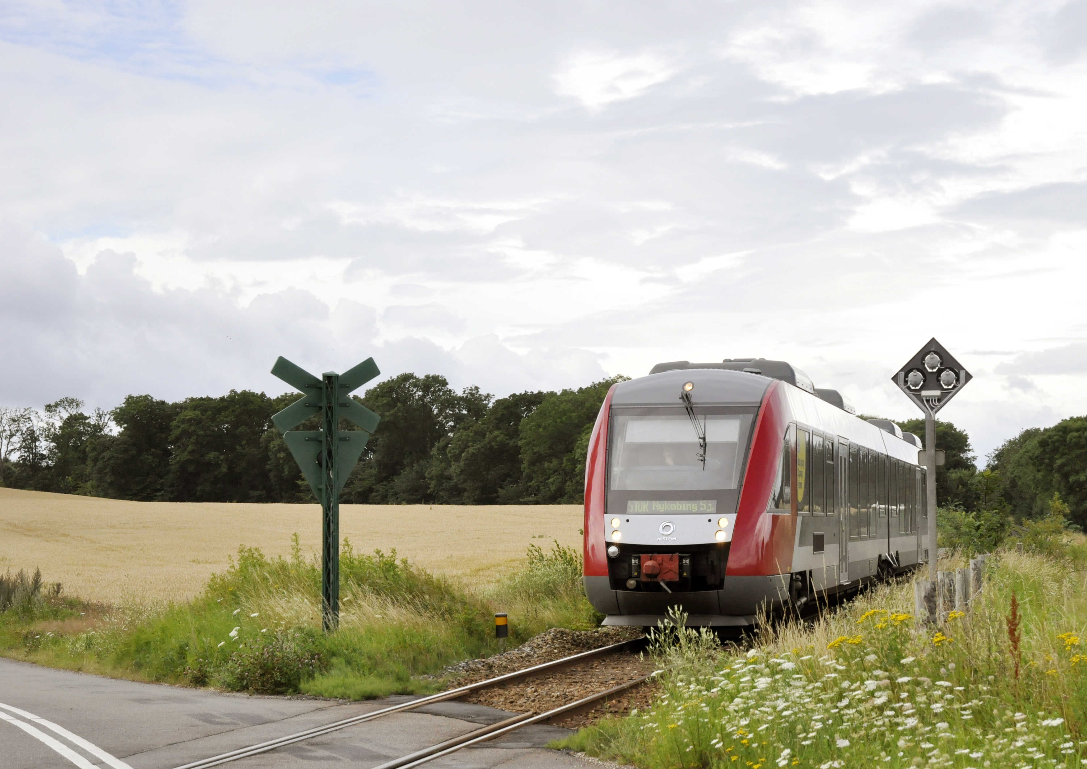 Tog kører ved jernbaneoverskæring nær mark og blomsterhav