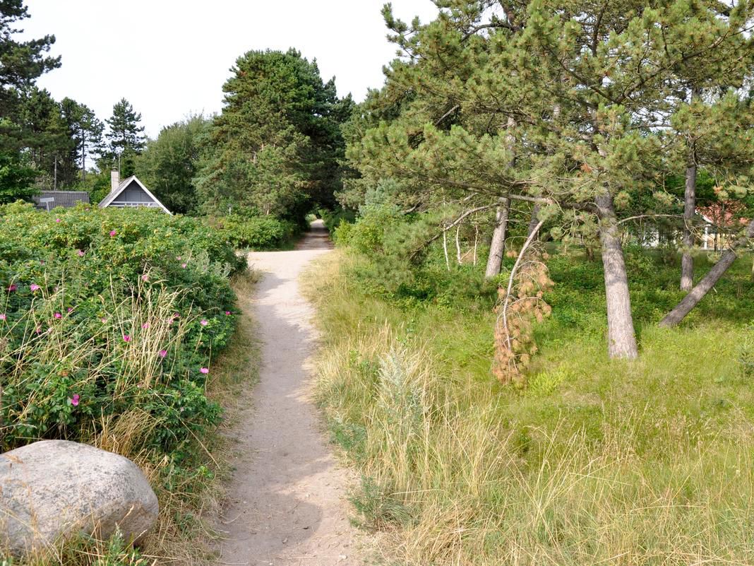 Sommerhusvej i Højby Lyng