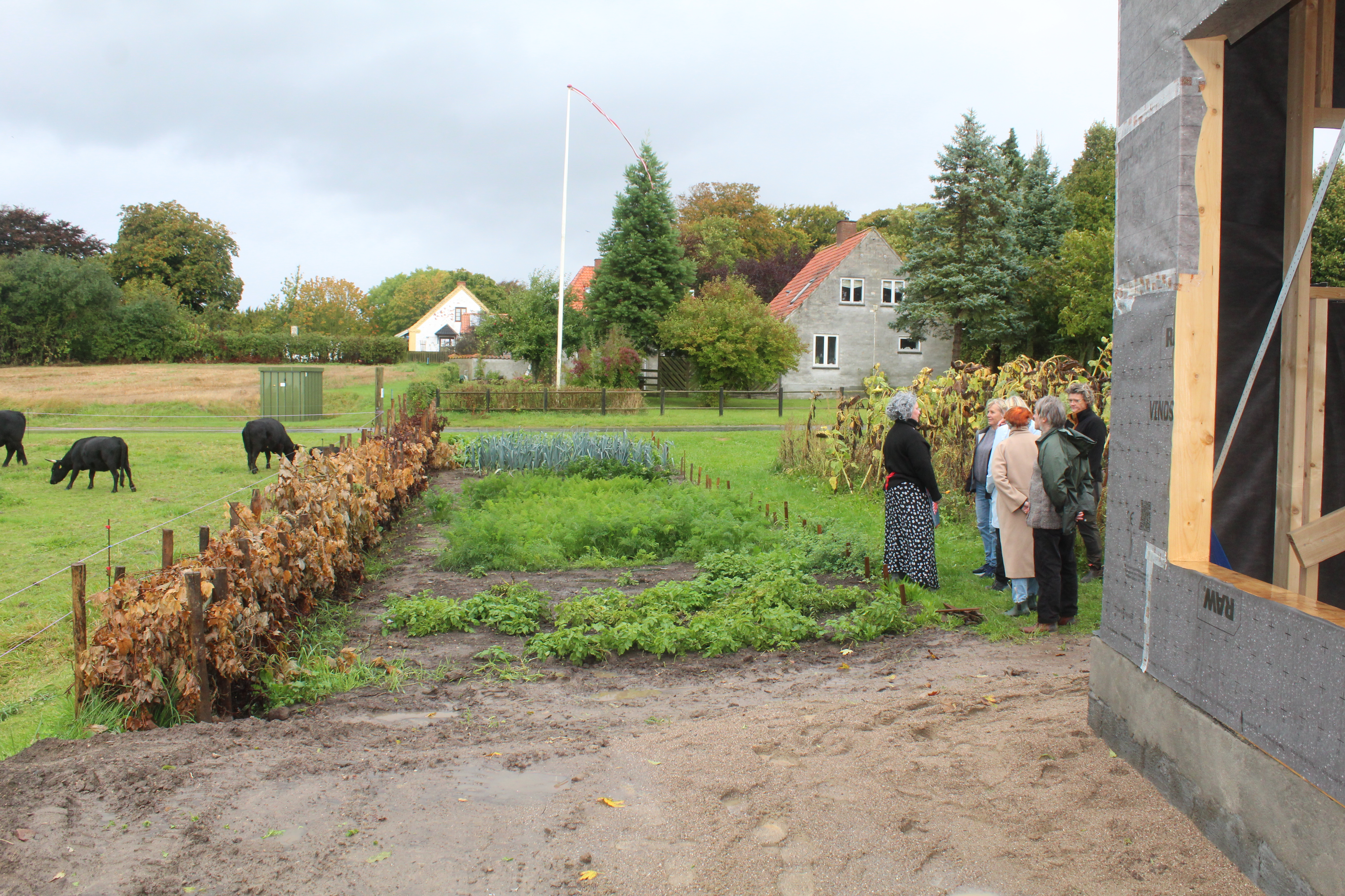 Bjergesø - Oldemor fortæller om køkkenhave, kreaturhold og fællesmiddage