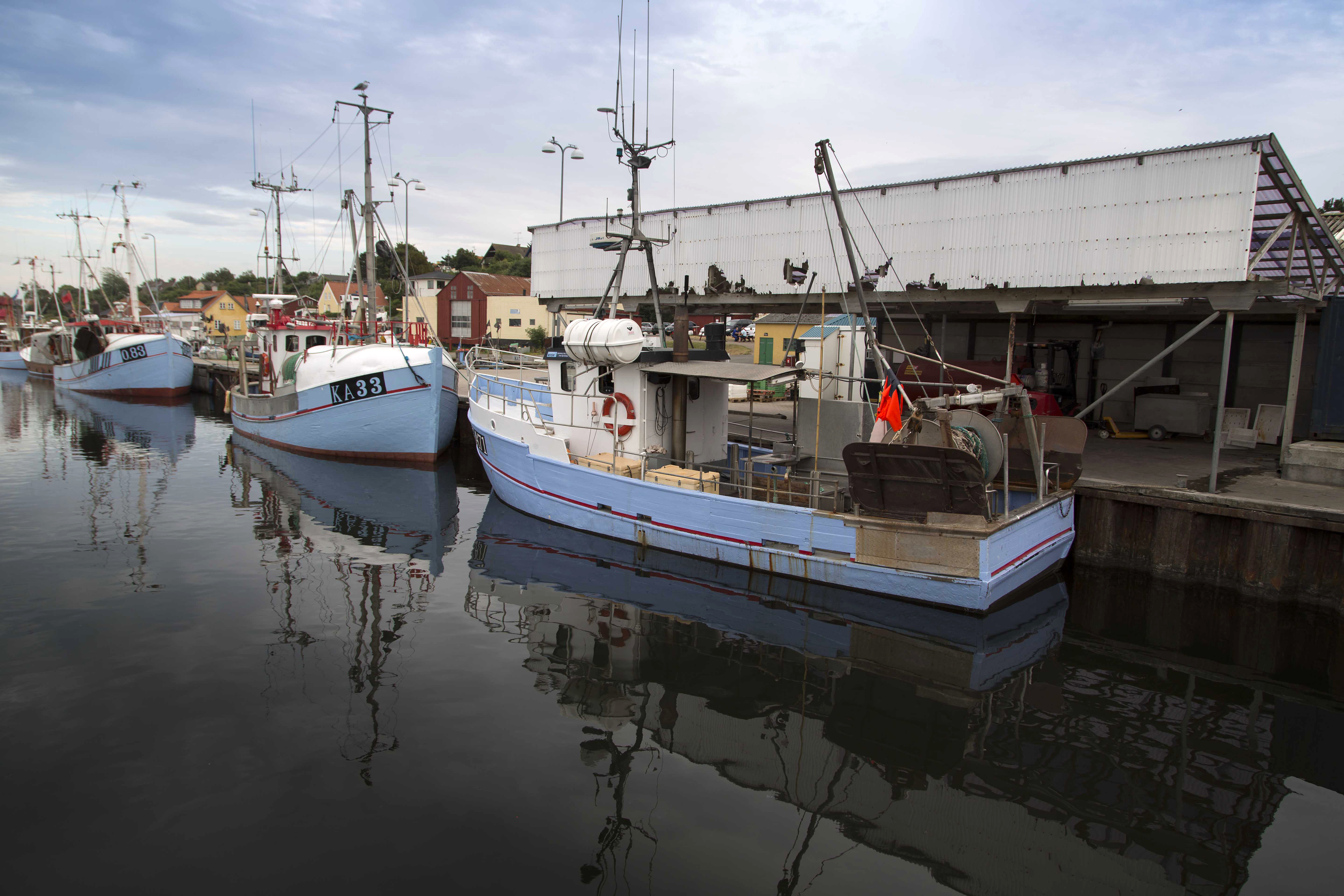 Fiskebåde Havnebyen havn Sjællands Odde