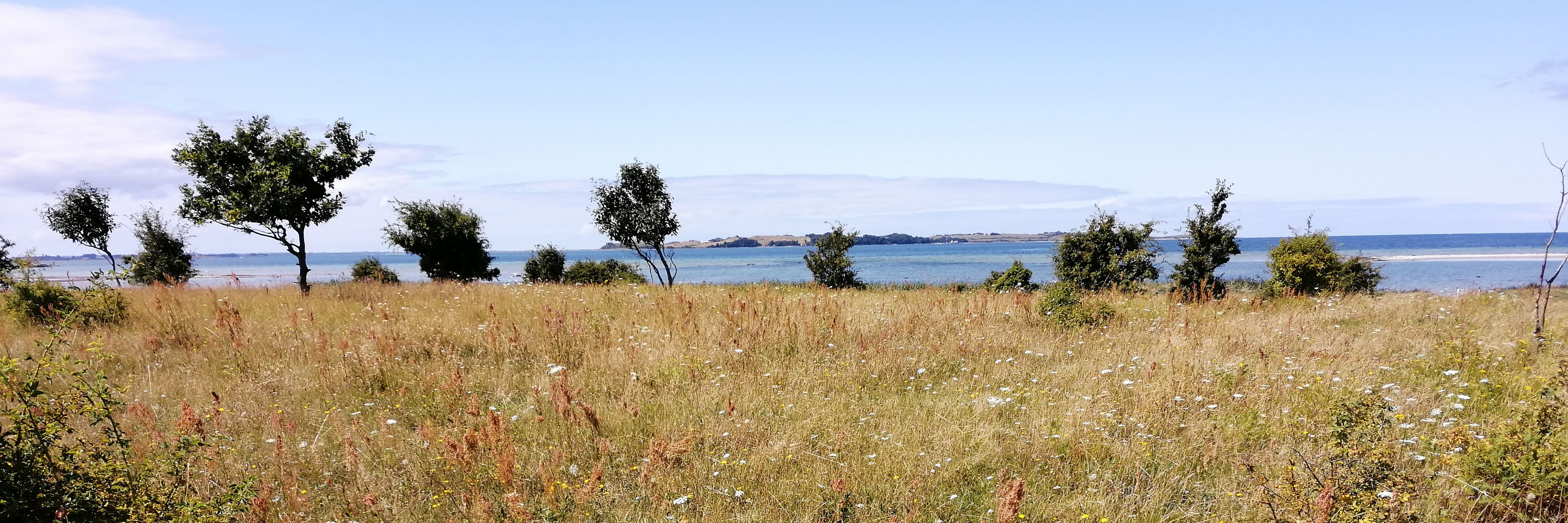 Overdrev med havudsigt