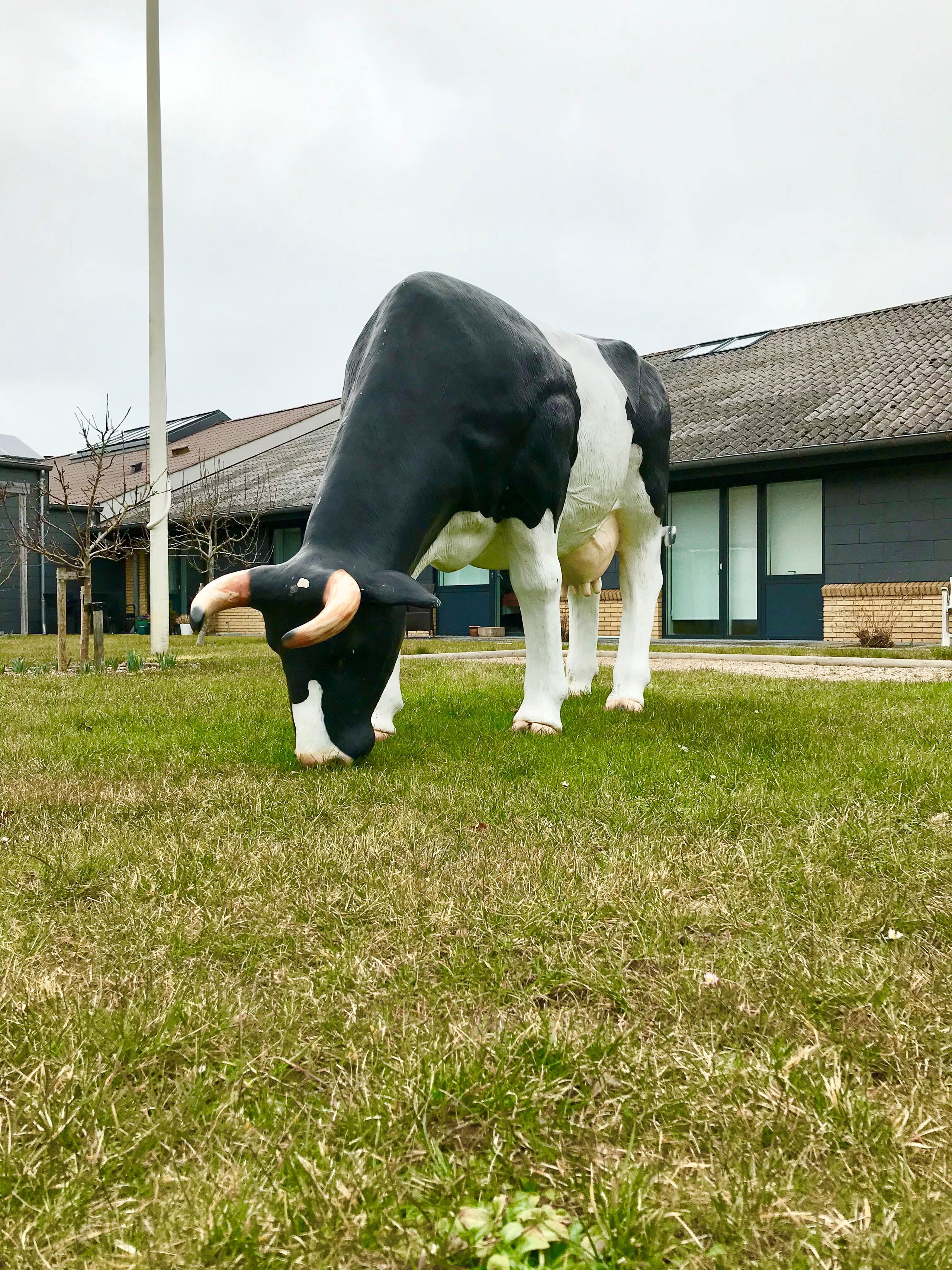 Ko