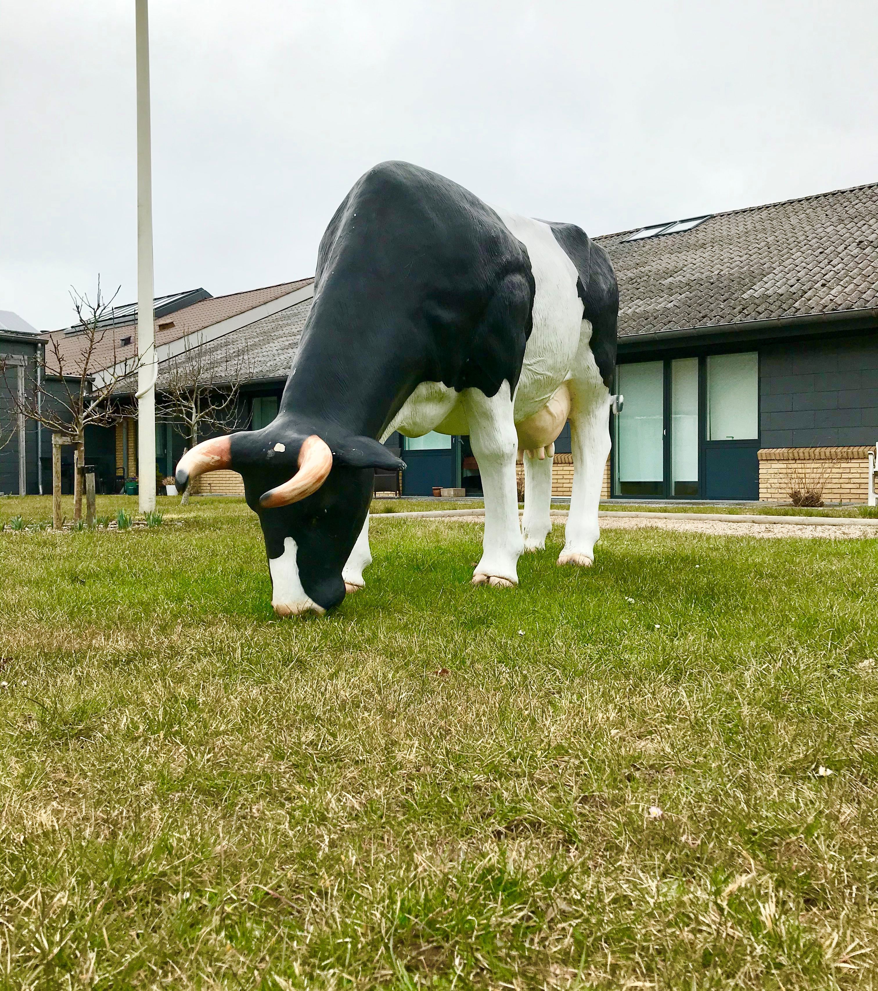 Ko