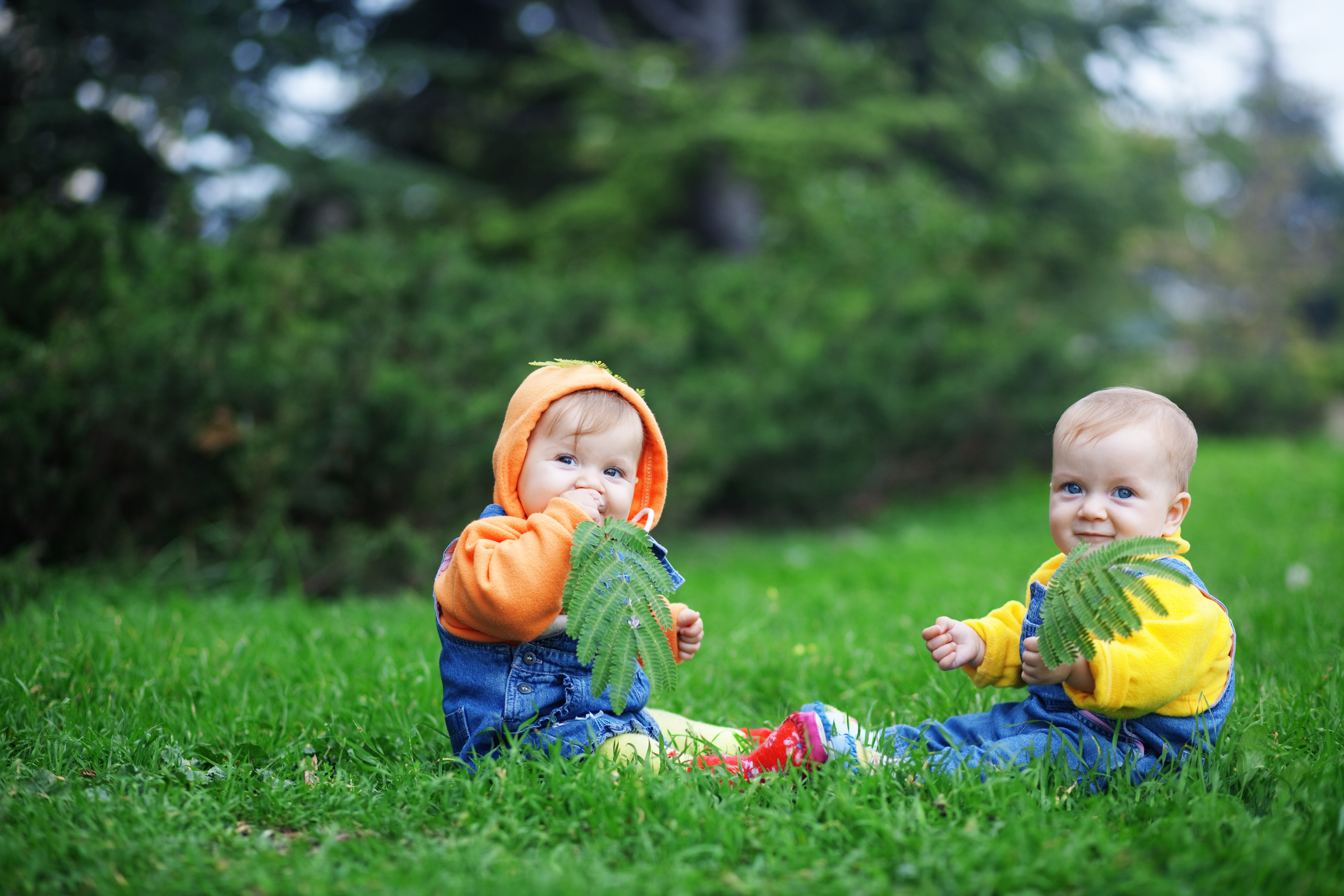 To små børn på en plæne