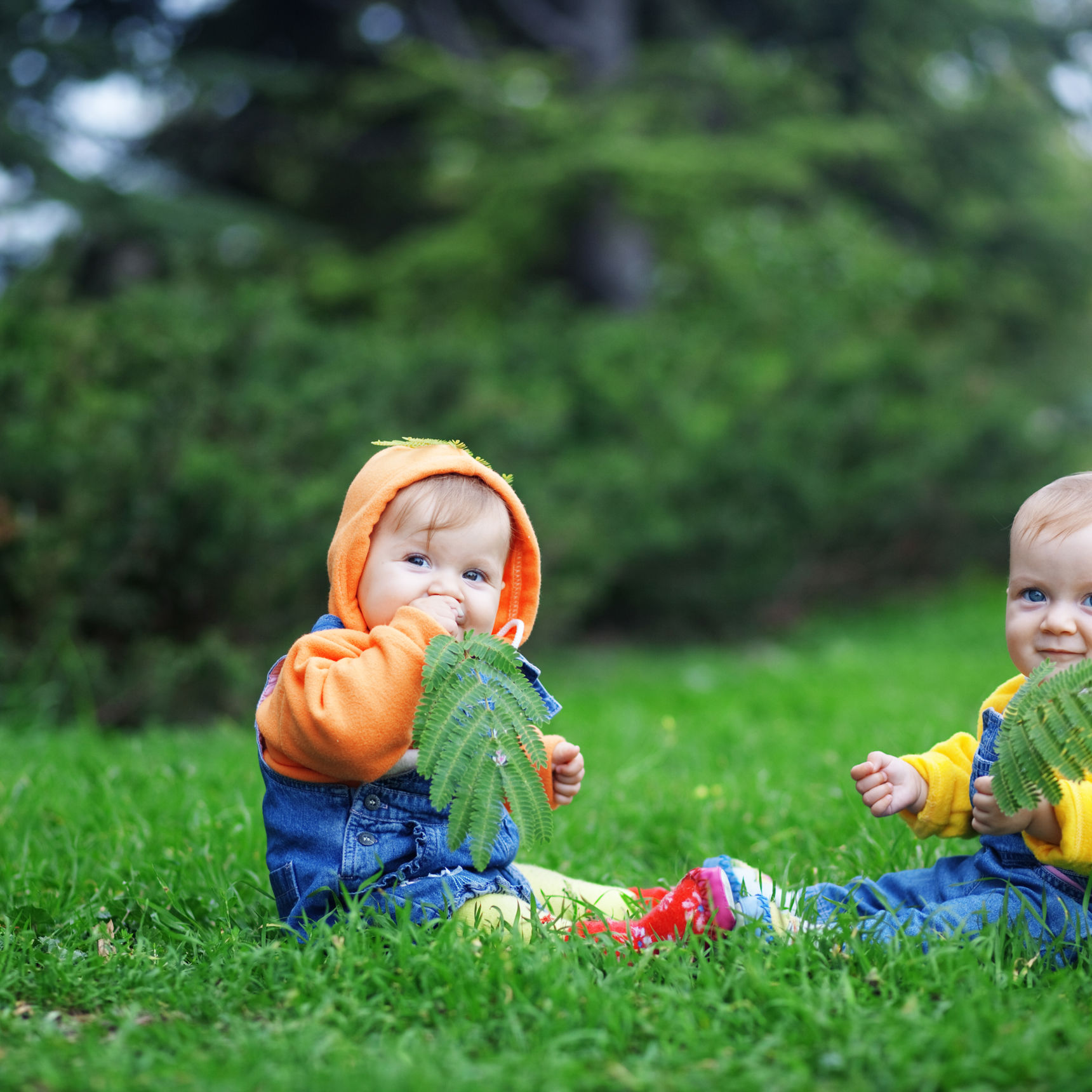 To små børn på en plæne