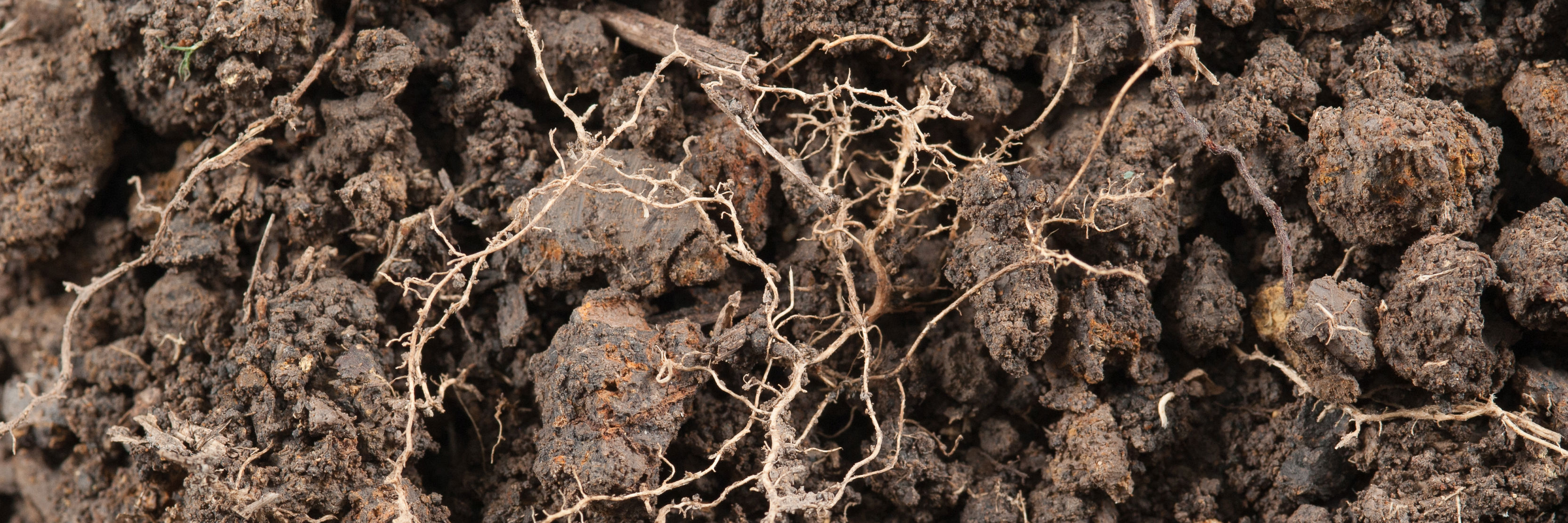 Jord med små rødder i