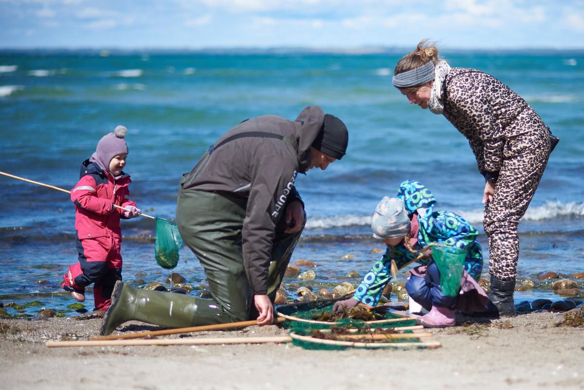 Familie på strandtur med fiskenet