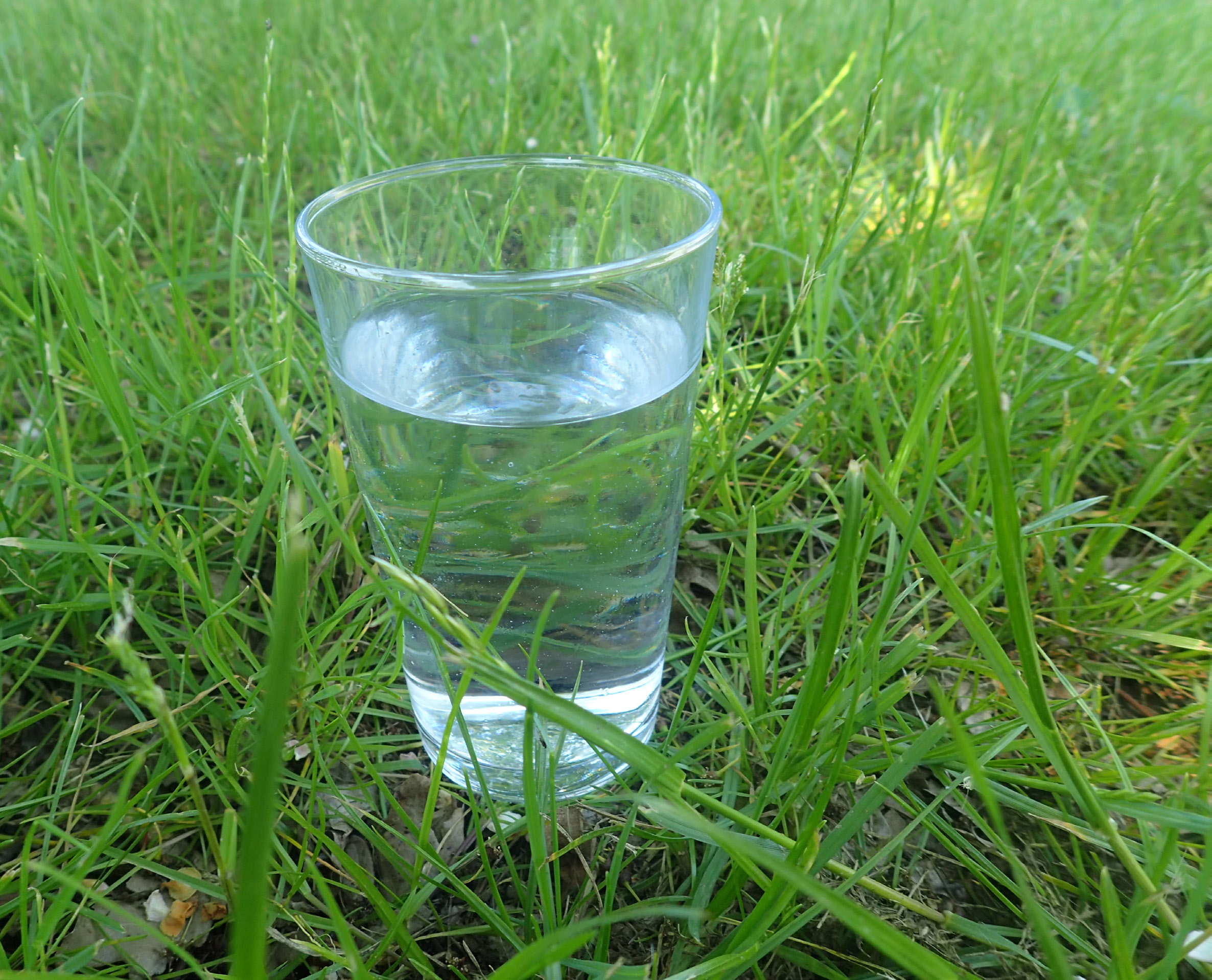 Glas som står på græsset næsten helt fyldt med vand