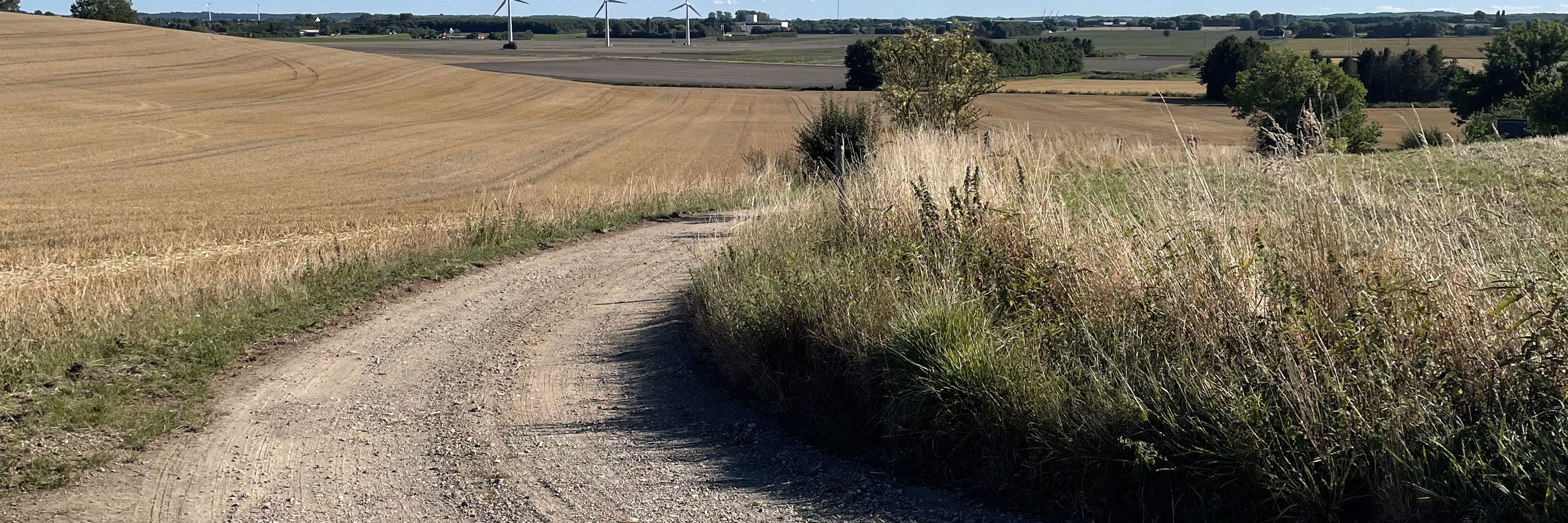 Grusvej der slynger sig i landskabet - marken er høstet, himlen er blå og der er vindmøller i baggrunden