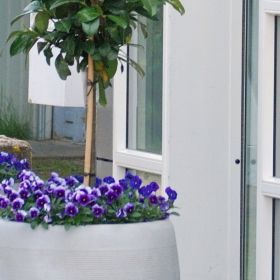 Indgang Grønnegården