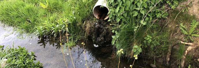 Et rørudløb i et vandløb, Der løber vand ud af røret.