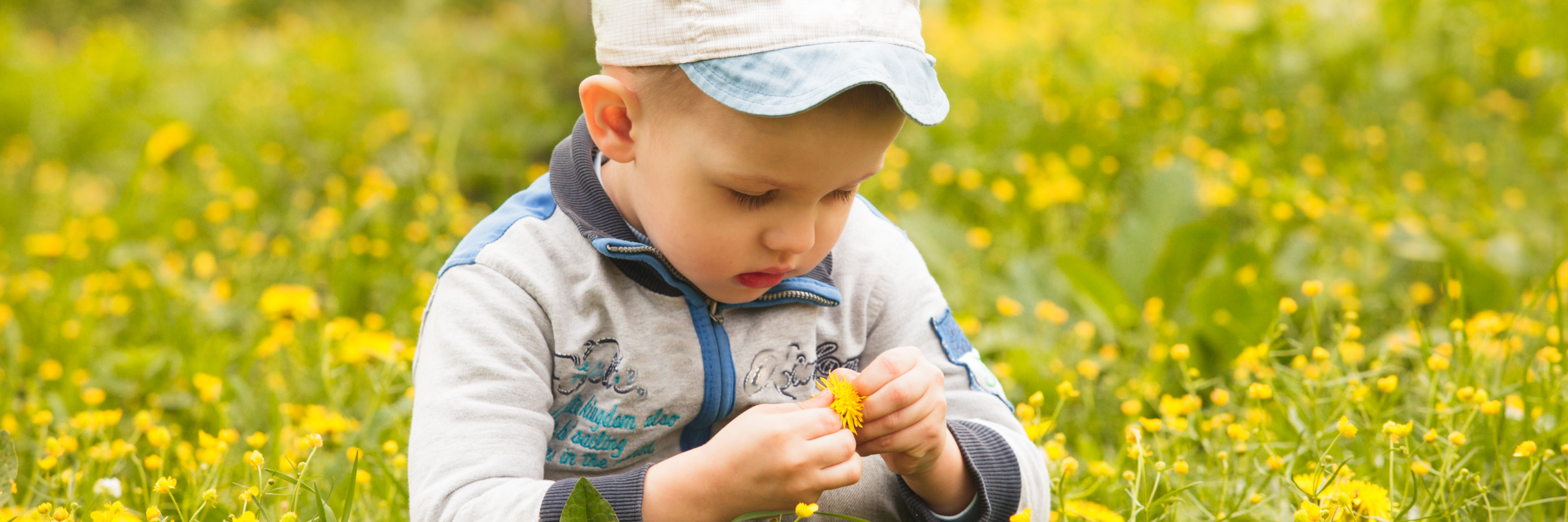 Lille dreng i mark med mælkebøtter