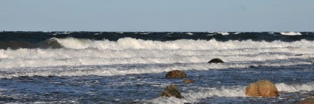 Store bølger ved strand